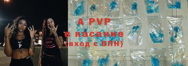 apvp Богородицк